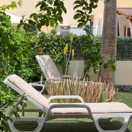 Casa Olitas Beachpool Lägenhet Corralejo